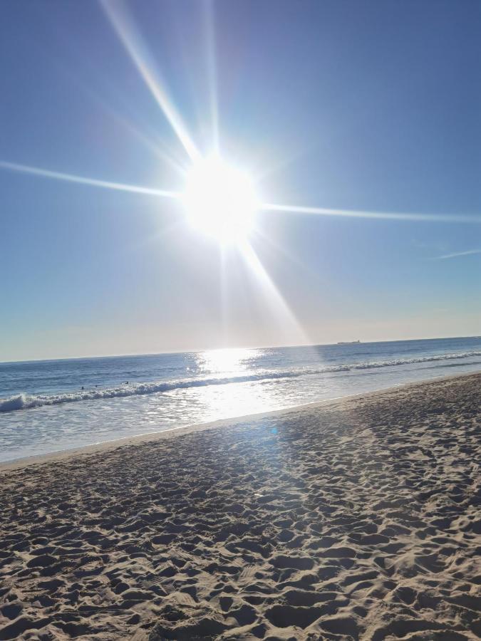 La Barrosa-Novo Sancti Petri, Wifi, Aire Acondicionado, Parking Lägenhet Chiclana de la Frontera Exteriör bild